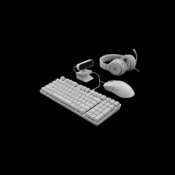 IT Peripherals
